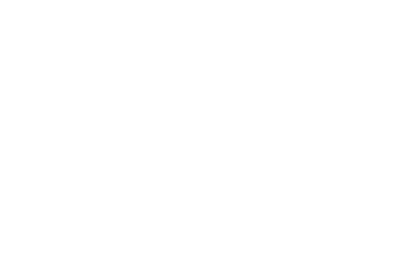 mijn klanten, boost  collectibles, bahaya, opensports, serpenti logistics, r3bel labs, velopa